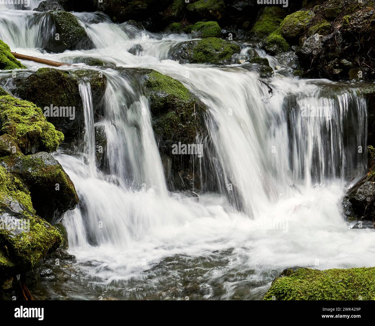 White Cliffs Water Rushing Rushing water provincial park hi-res stock photography and images - Alamy