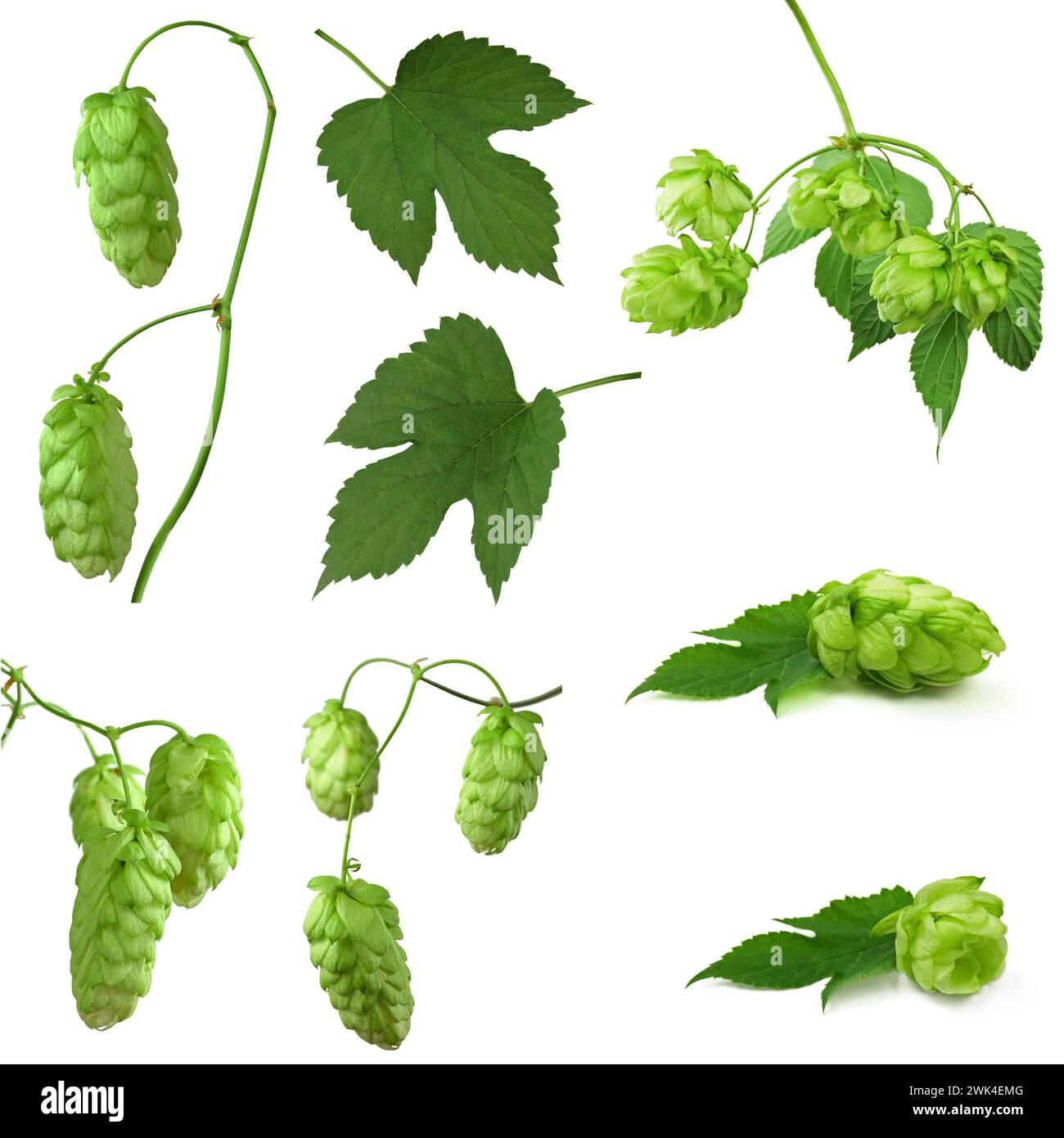 Arbors b hires stock photography and images Alamy