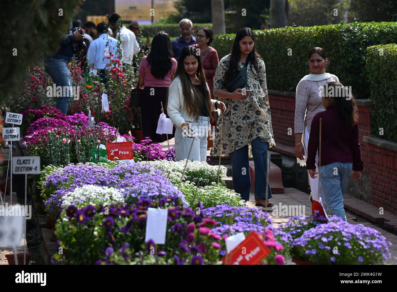 NEW DELHI, INDIA -FEBRUARY 18: Visitors visit during the '36th Garden Tourism Festival' organized by Delhi Tourism in collaboration with the Delhi Government held at Garden of Five Senses, on February 18, 2024 in New Delhi, India. The theme of the 36th Garden Tourism Festival is “The Earth Laughs in Flowers.” As spring emerges, the earth transforms into a captivating spectacle. The festival features a competition across 32 plant categories, showcasing a diverse range from cacti to dahlias, lilies, roses, chrysanthemums, potted plants, and more. The display includes plants in various states, su Stock Photo