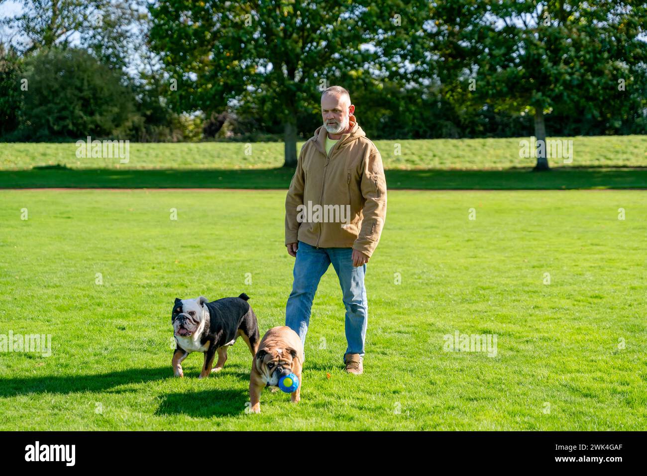 An old man walking with his dog in the park Stock Photo