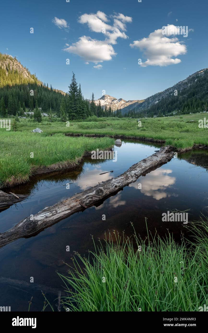 Pool in a meadow with Eagle Cap peak in the background, Eagle Cap Wilderness, Oregon. Stock Photo