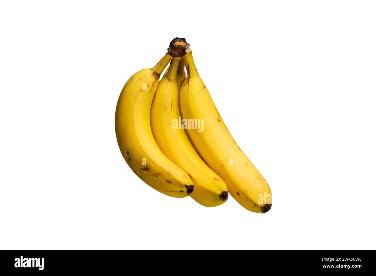 18 02 2024 Cut Out Stock Images &amp; Pictures - Alamy