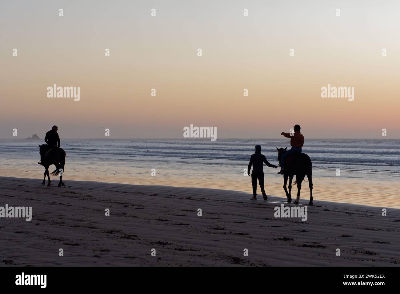 Horse riders in silhouette on a sandy beach at sunset in Essaouira ...