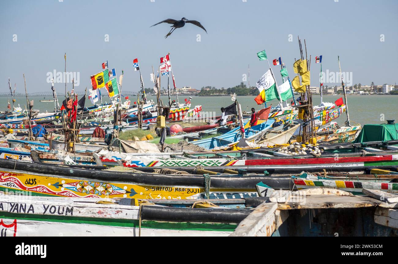 Africa, Senegal. Saint Louis. Colourful fishing boats lined up on the shore of the island. Stock Photo