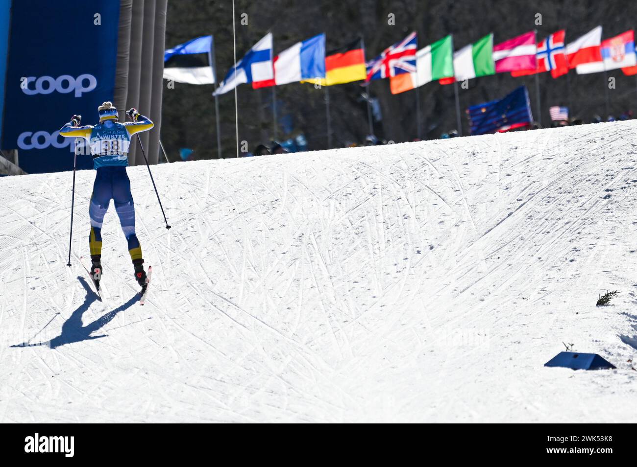 Minneapolis, Minnesota, USA, 18 February, 2024: Eventual winner Jonna Sundling of Sweden nears the finish en route to victory in the women's 10-k FIS world cup cross country ski race Loppet Cup at Theodore Wirth Regional Park in Minneapolis, Minnesota, USA.  Credit: John Lazenby/Alamy Live News Stock Photo