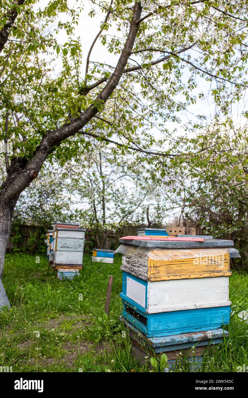 Bee hive in apple orchard hi-res stock photography and images - Alamy