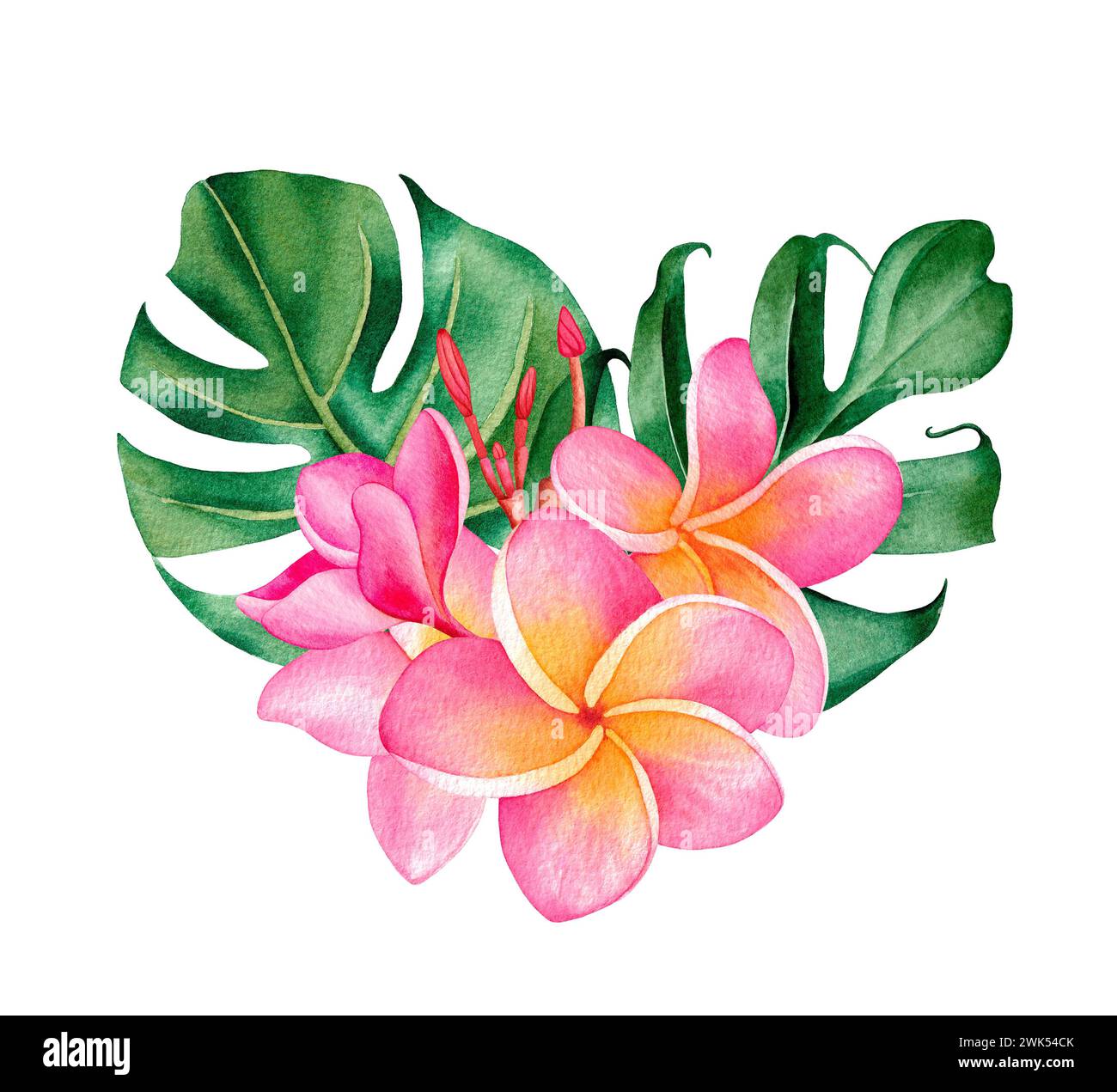 Floral botanical illustration hi-res stock photography and images - Alamy, image size:1300x1271
