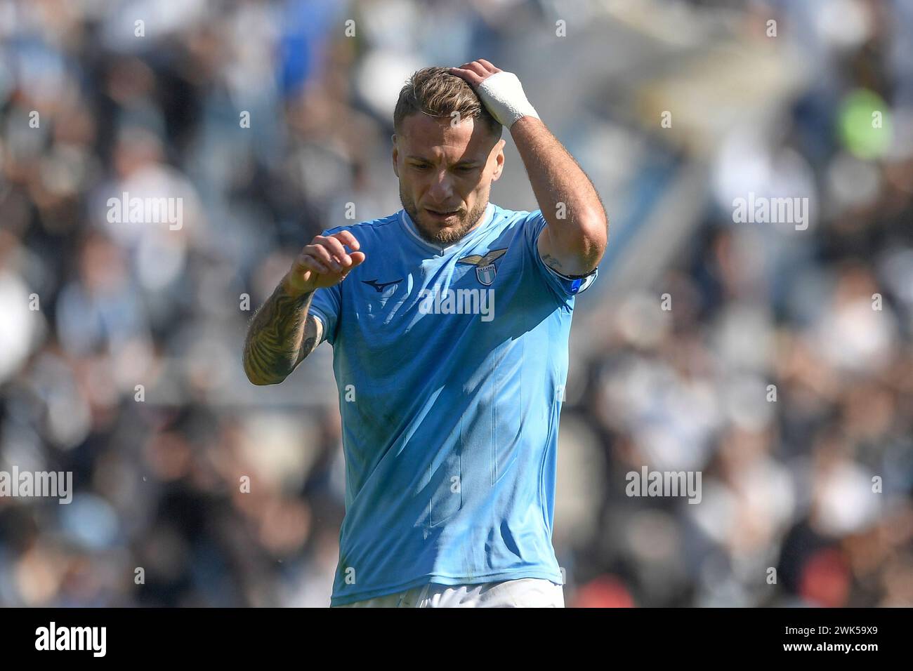 Lazio bologna feb 2024 immobile hires stock photography and images Alamy