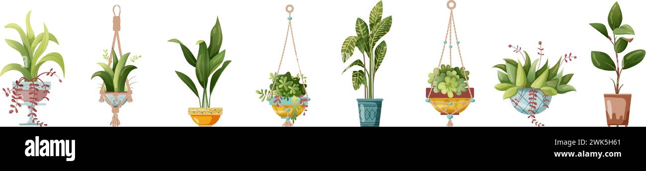 Houseplant and macrame plant growing in pots. Set of handmade home ...