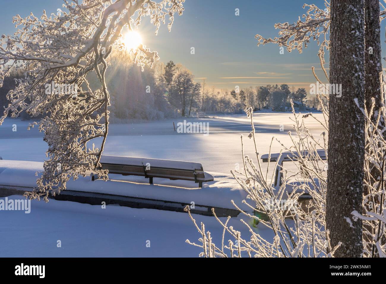 Sunrise over snowy golf course with ice covered trees Stock Photo