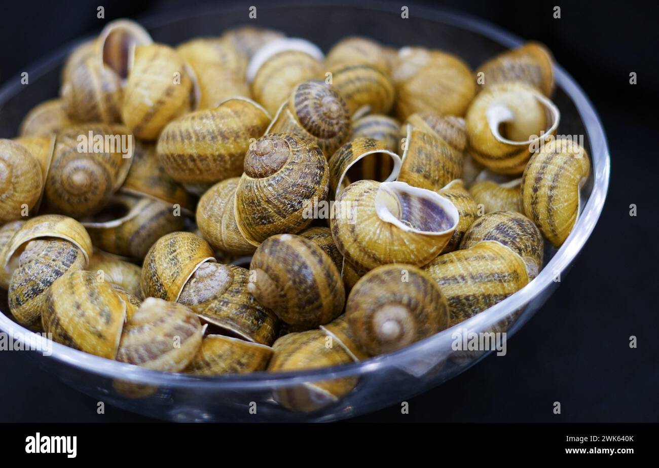 Edible snails. French cuisine. Close up Stock Photo Alamy