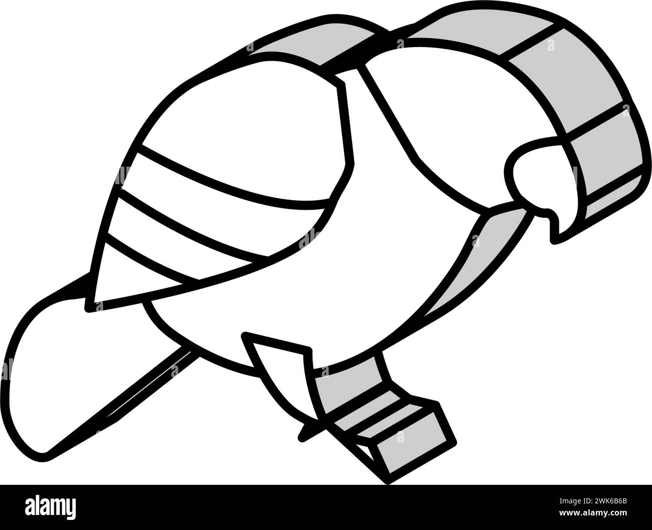 parrot bird pet isometric icon vector illustration Stock Vector Image