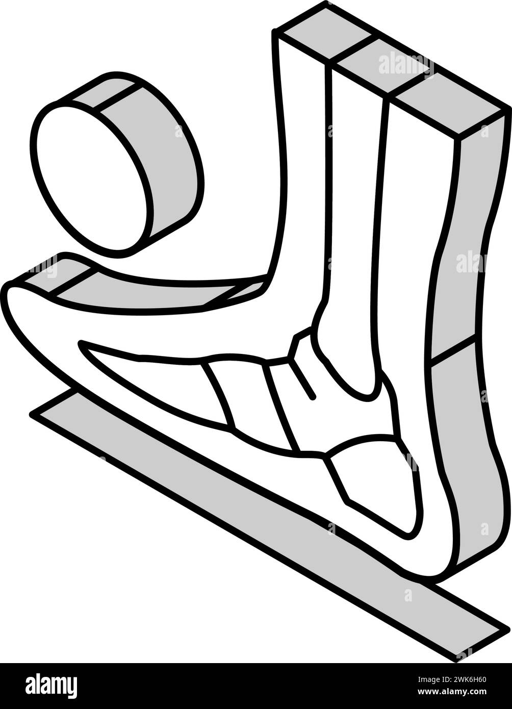 bone flat feet isometric icon vector illustration Stock Vector Image