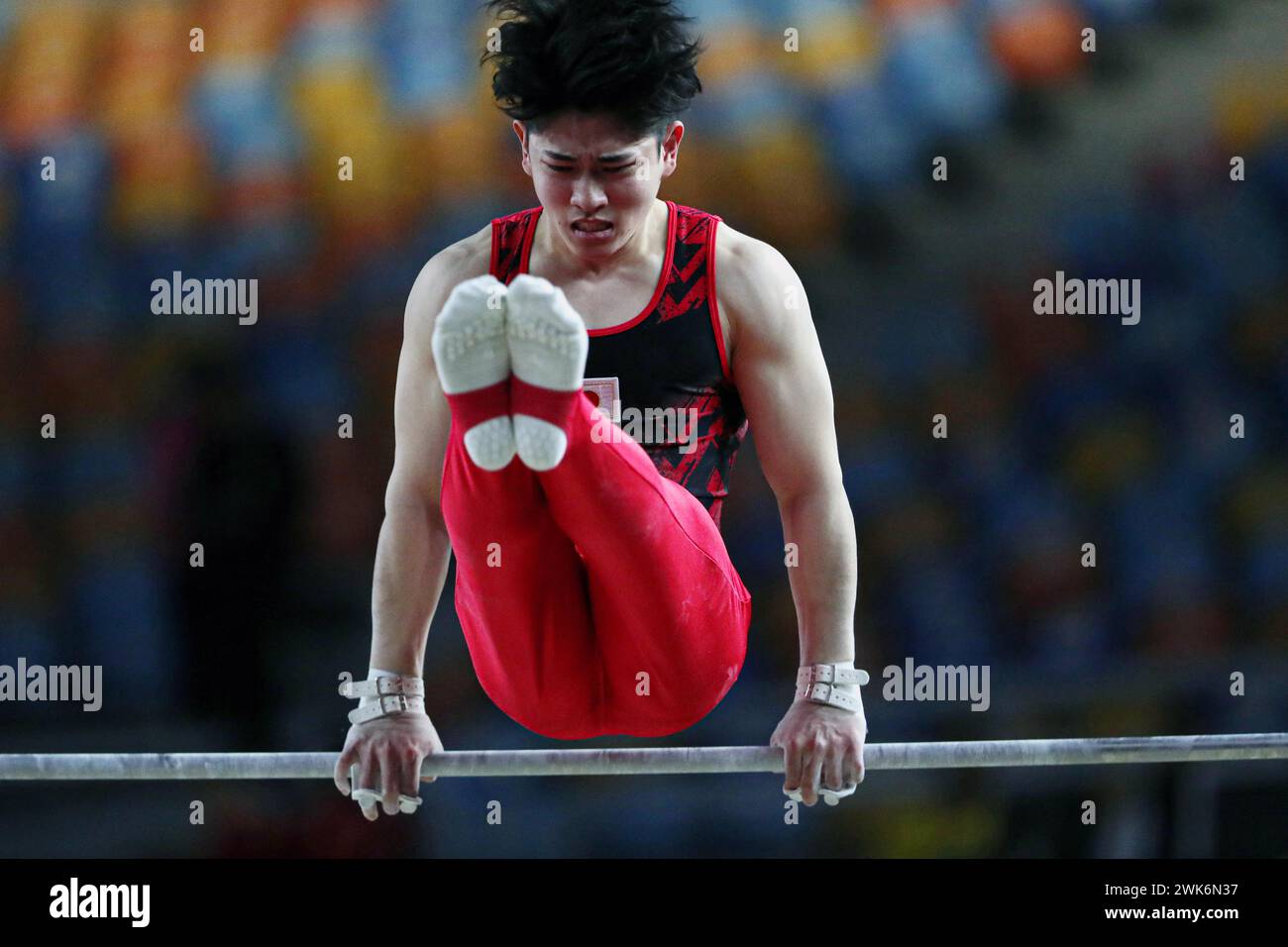 Cairo, Egypt. 18th Feb, 2024. Tanigawa Kakeru of Japan competes during