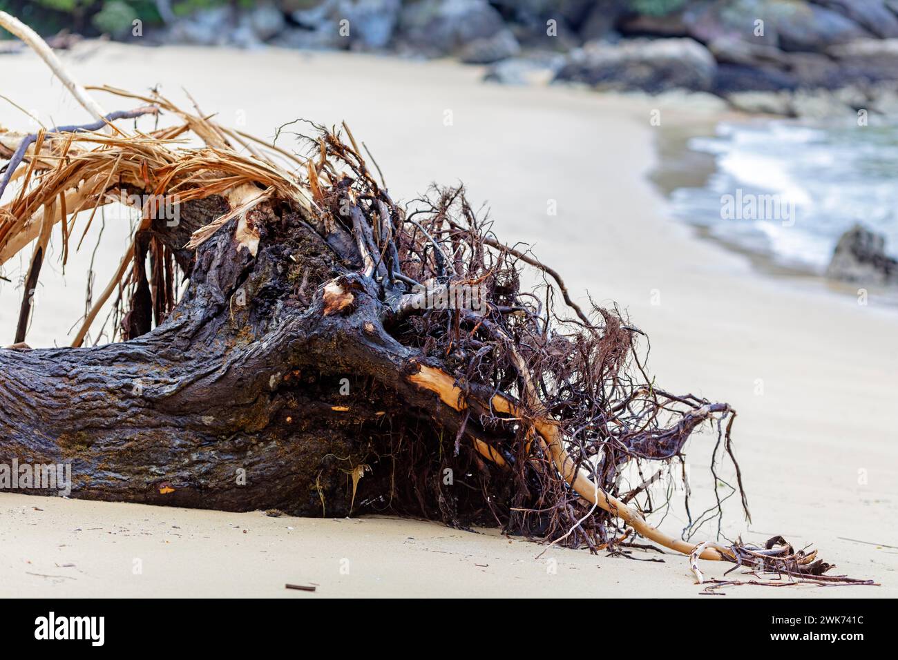 Driftwood flotsam jetsam hires stock photography and images Alamy