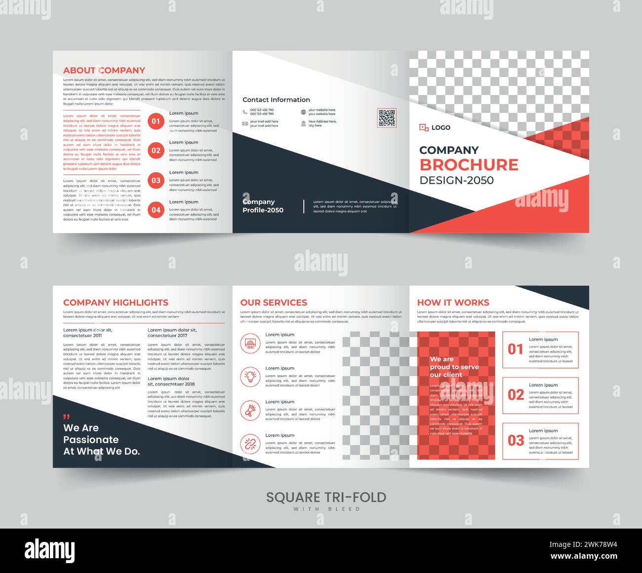 Square trifold brochure company booklet template vector Layout design. Stock Vector