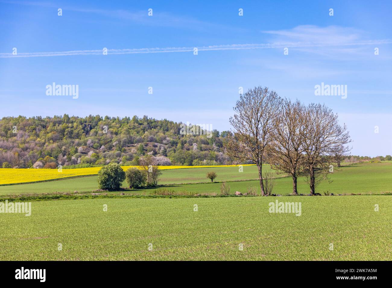 Cultivated plain hi-res stock photography and images - Alamy