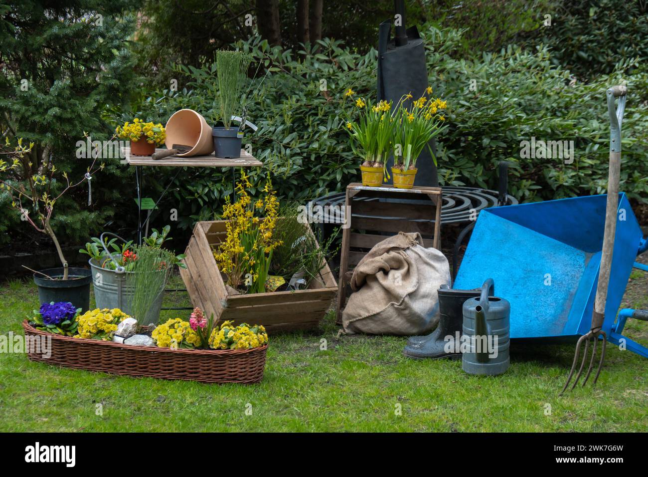 Field flowers with iron watering can. Cottage style gardening concept