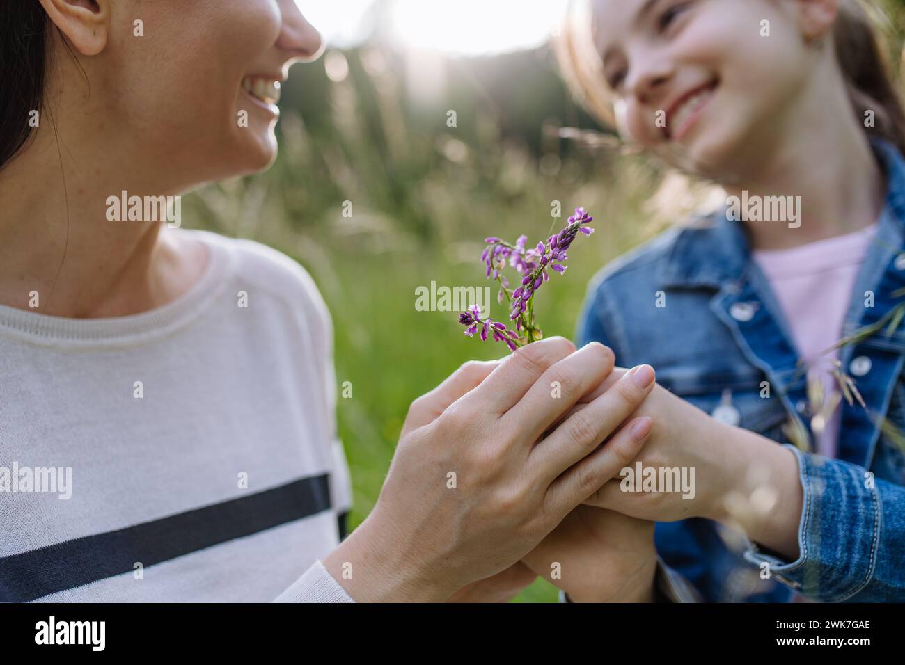 Daughter giving beautiful mother purple flower as gift. Concept of Mother's Day and maternal love. Stock Photo