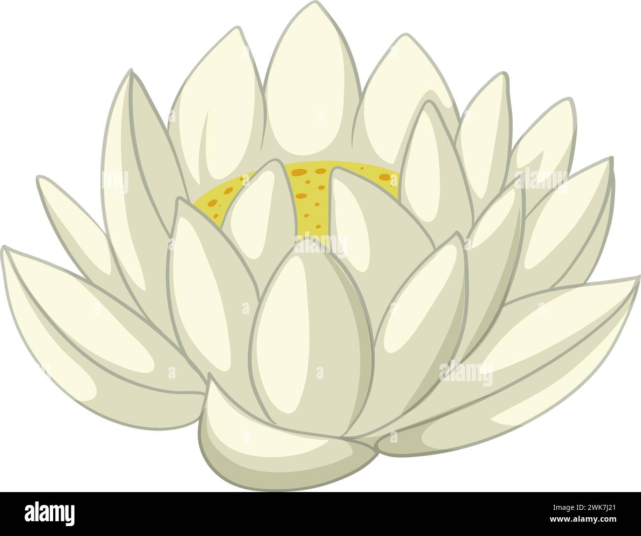 A stylized vector graphic of a white lotus flower Stock Vector Image ...