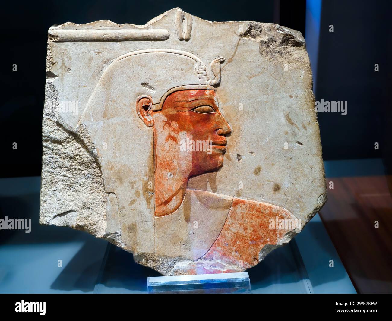 Fragmentary relief of Amenhotep I - New Kingdom, Dynasty XVIII, reign of Amenhotep I (1525 - 1504 BC) - Painted limestone. from Upper Egypt, Great Temple of Amon at Karnak, chapels of Amenhotep I - Museo di Scultura Antica Giovanni Barracco, Rome, Italy Stock Photo