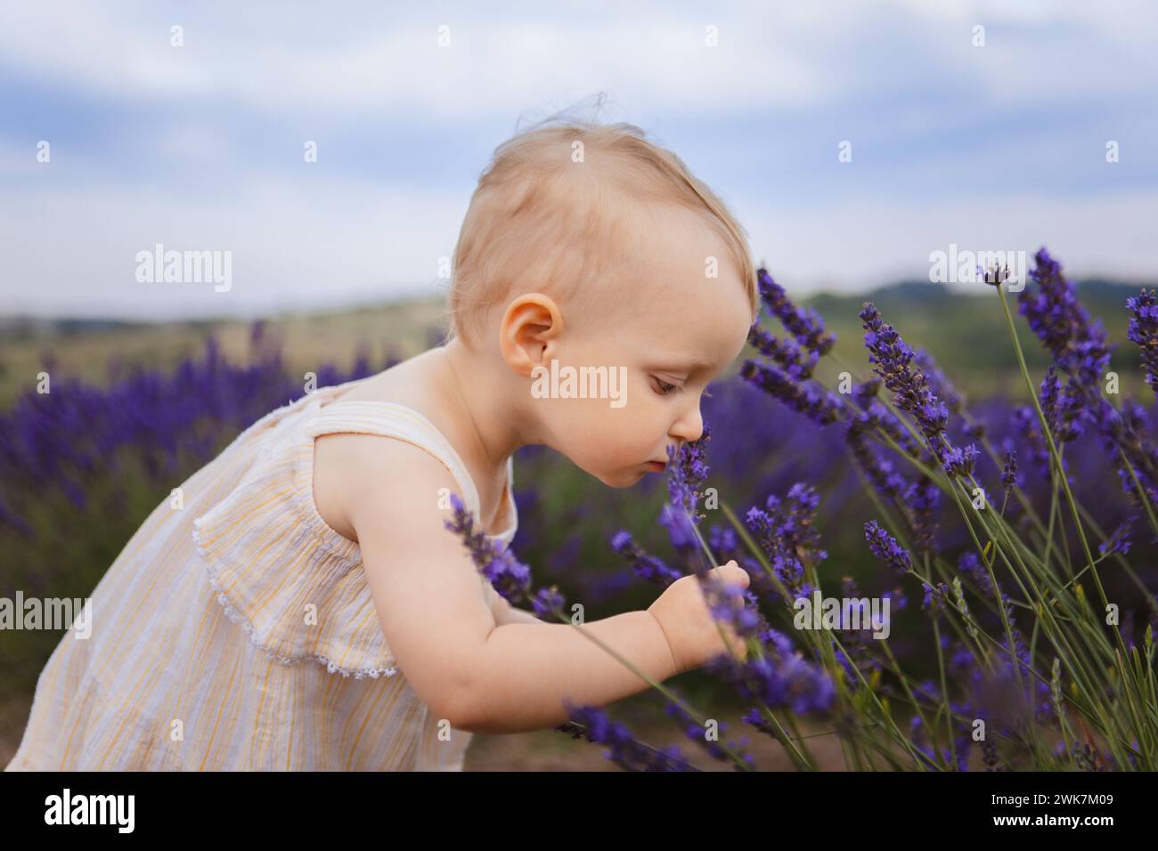 Child smells flowers hi-res stock photography and images - Alamy