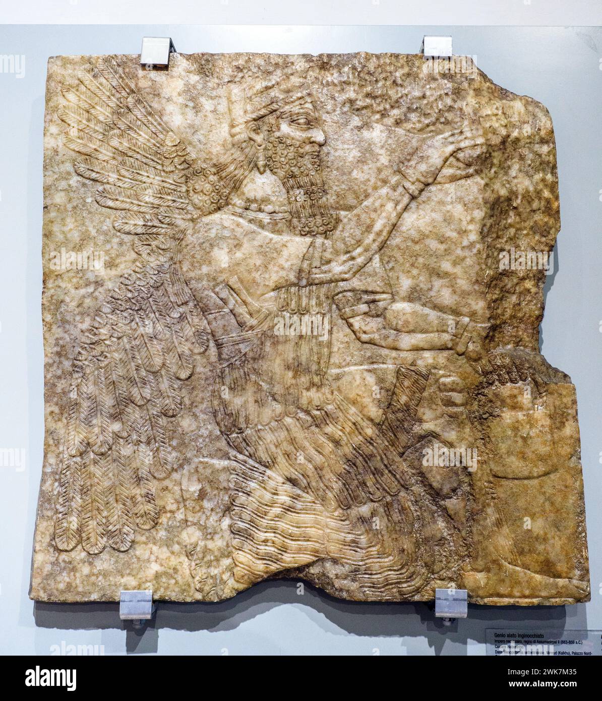 Kneeling winged deity - Neo-Assiryan Empire, reign of Ashurbanipal II(883 - 859 BC) - Limestone - From northern Mesopotamia Nimrud (Kalkhu), Northwest palace, room 1 - Museo di Scultura Antica Giovanni Barracco, Rome, Italy Stock Photo