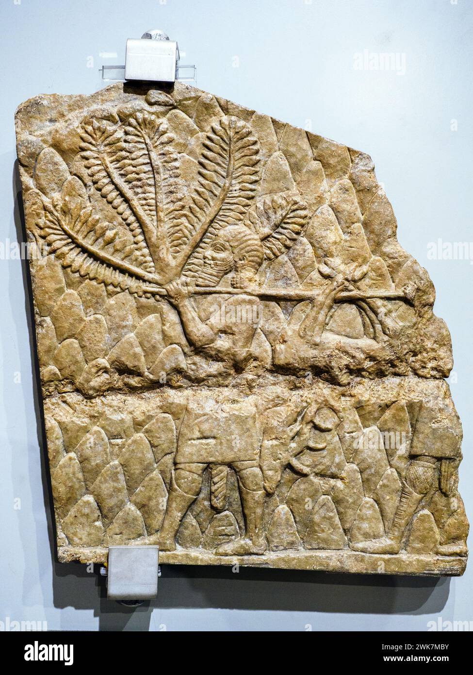 The kill of the hunt- Neo-Assiryan Empire, reign of Ashurbanipal (668 - 627 BC) - Limestone - From northern Mesopotamia, Nineveh (Kuyunjik), North palace - Museo di Scultura Antica Giovanni Barracco, Rome, Italy Stock Photo