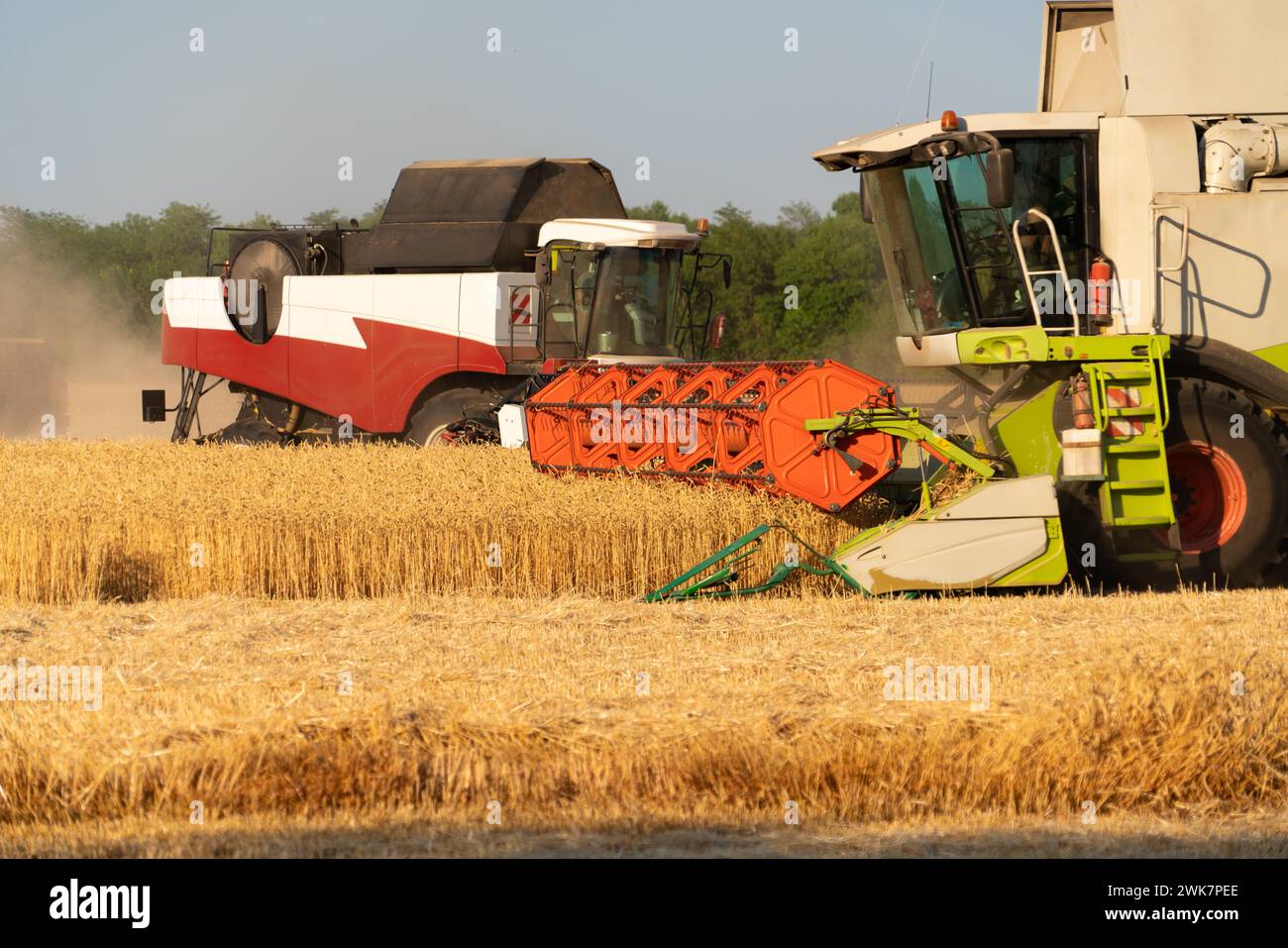 Combine harvester on the wheat field Stock Photo - Alamy