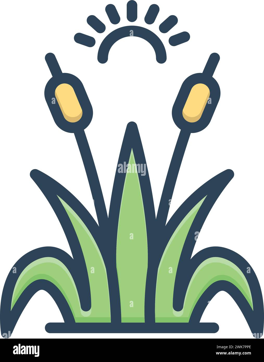 Icon for reed,sugarcane Stock Vector