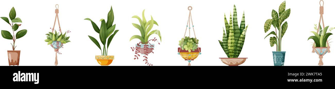 Houseplant and macrame plant growing in pots. Set of handmade home ...