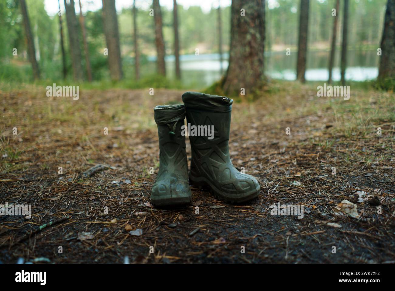 green dirty wellies boots on ground in pine forest Stock Photo