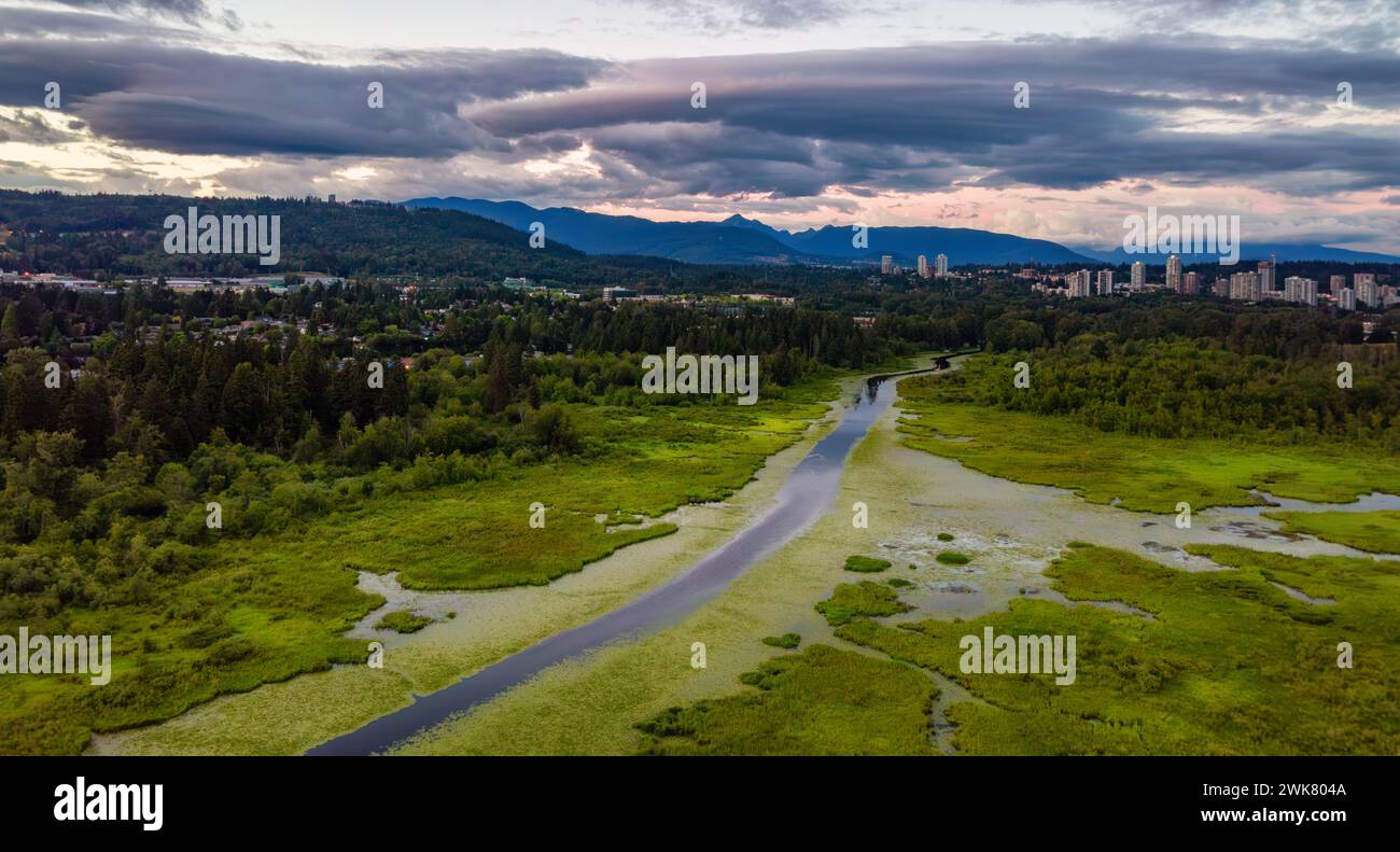 An aerial view of river and forest at sunset Stock Photo - Alamy
