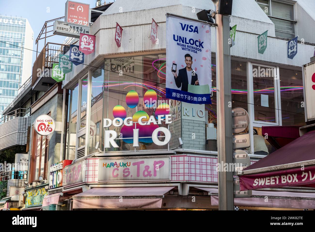 Harajuku district ward of Tokyo, Dog Rio cafe for pets and animals in ...