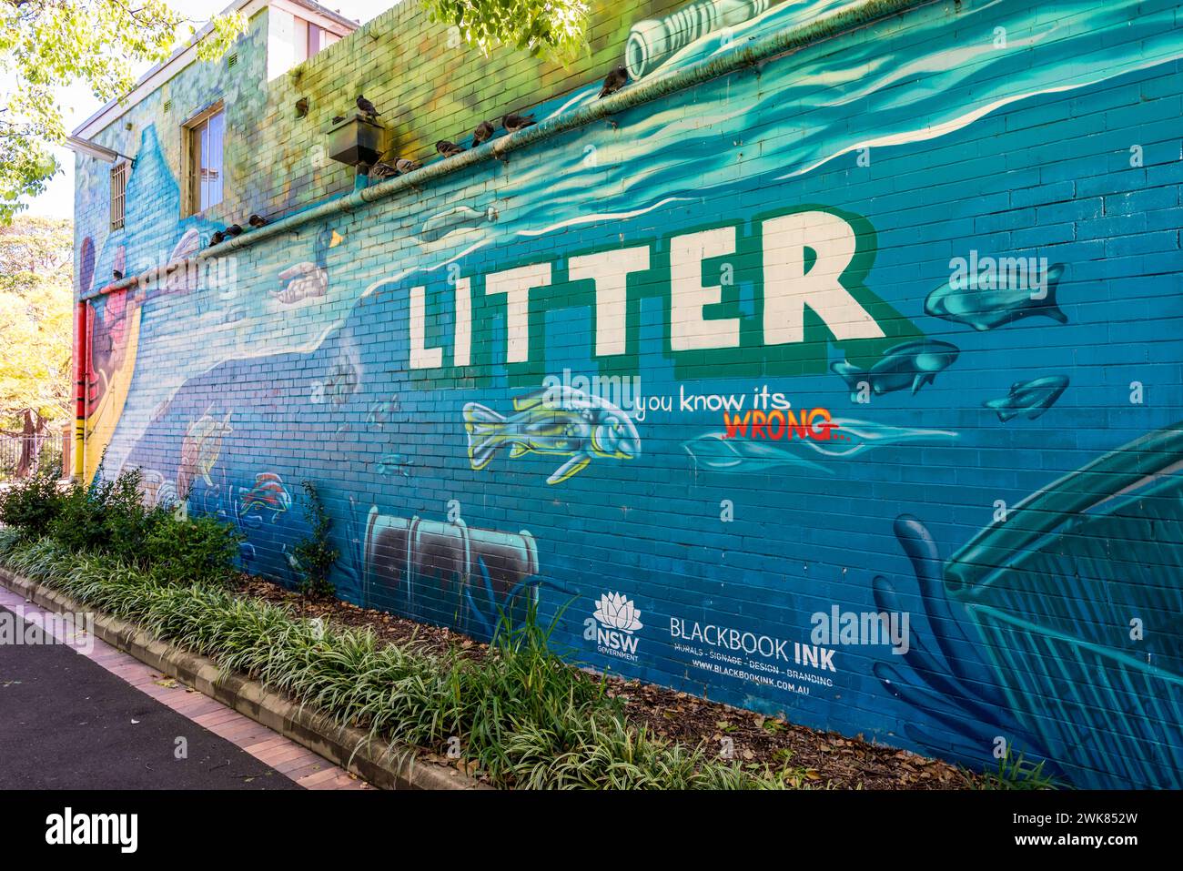 An anti litter and river pollution mural on a public facing wall in Gladesville, Sydney, Australia Stock Photo