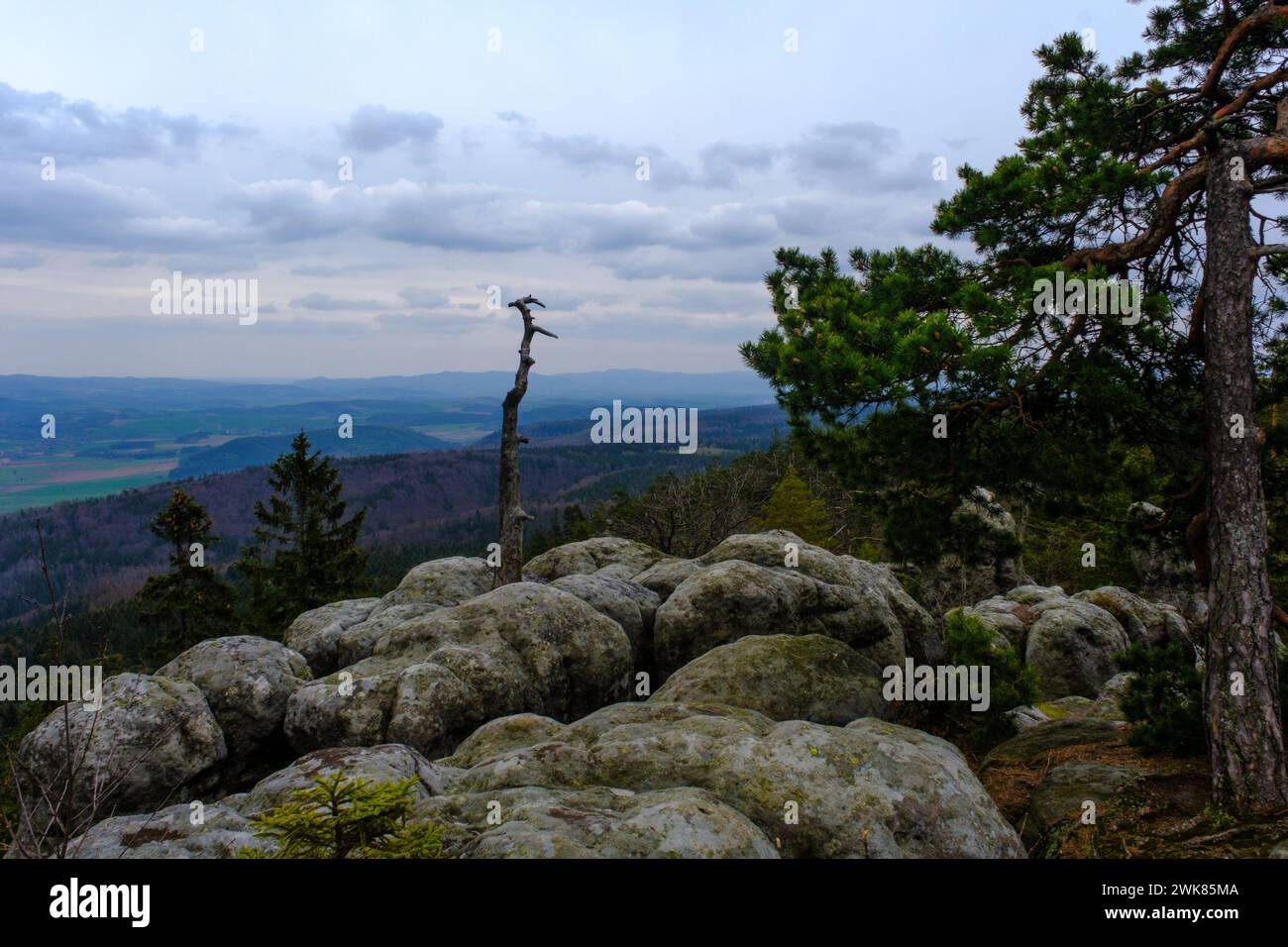 View from Great Szczeliniec Wielki Stock Photo