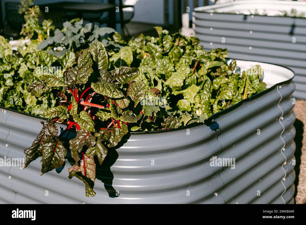 Grow community garden hi-res stock photography and images - Alamy