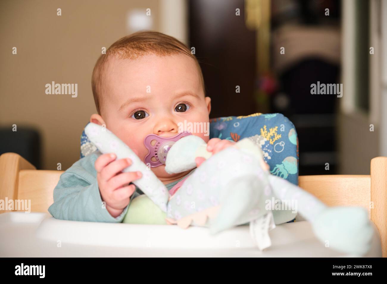 6-Month-Old baby girl with pacifier and toy looking at camera. Stock Photo
