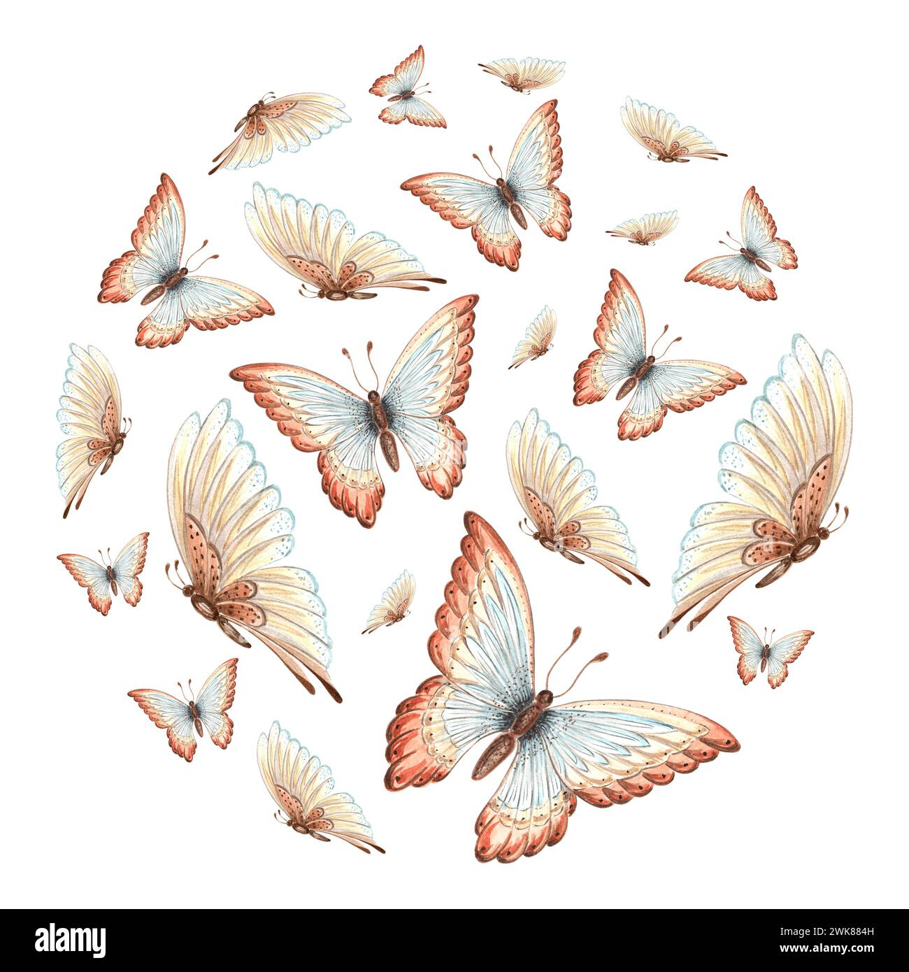 Vintage fluttering butterflies in round clipart. Summer exotic wild ...