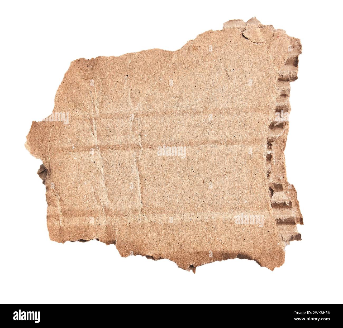 One ripped piece of cardboard material over isolated white background ...