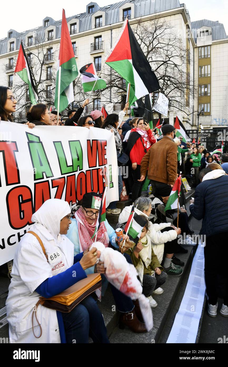 Pro Palestine protesters in Paris - February 2024 Stock Photo - Alamy