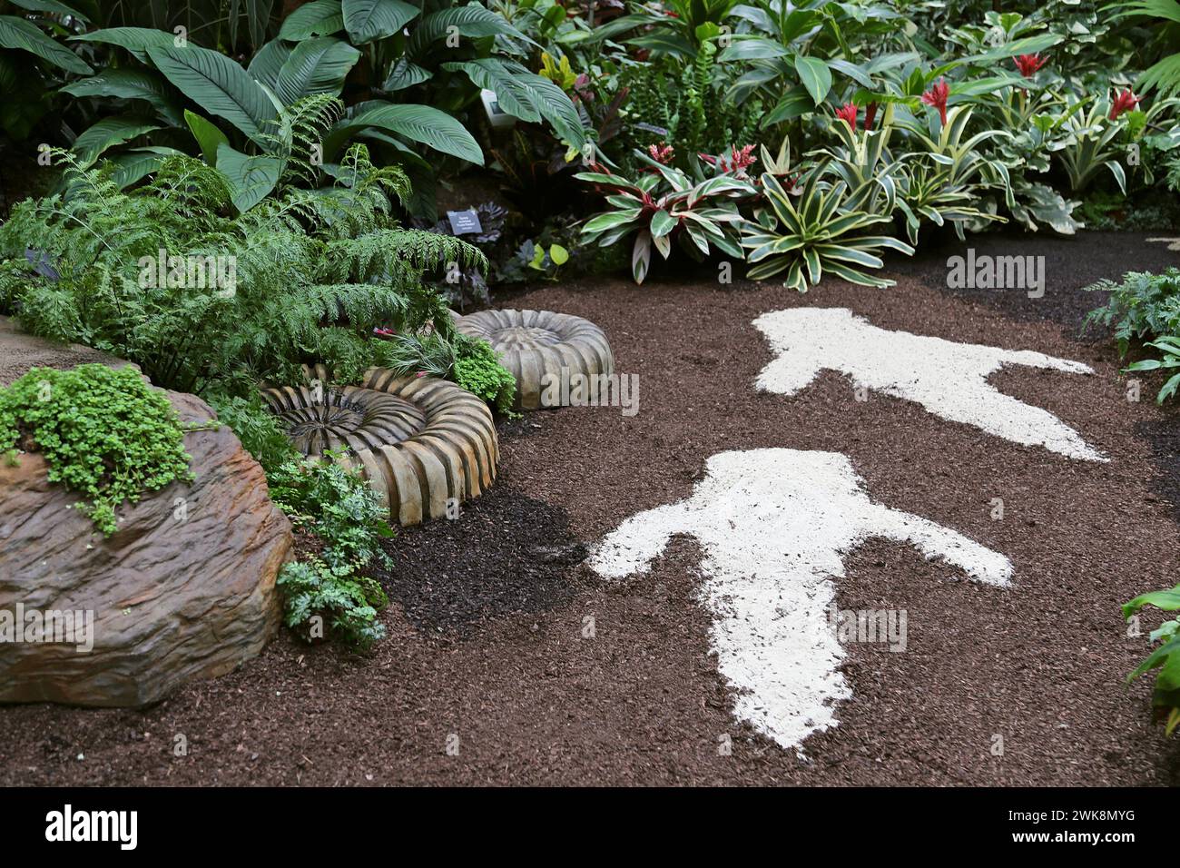 Dinosaur footprints, Tropical Zone, Houseplant Takeover 2024: Plants Before Time, Glasshouse, RHS Garden Wisley, Woking, Surrey, England, UK, Europe Stock Photo