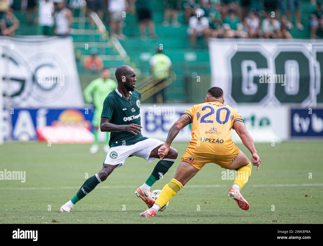 GO GOIANIA 02/17/2024 GOIANO 2024, GOIAS (Photo by Isabela Azine