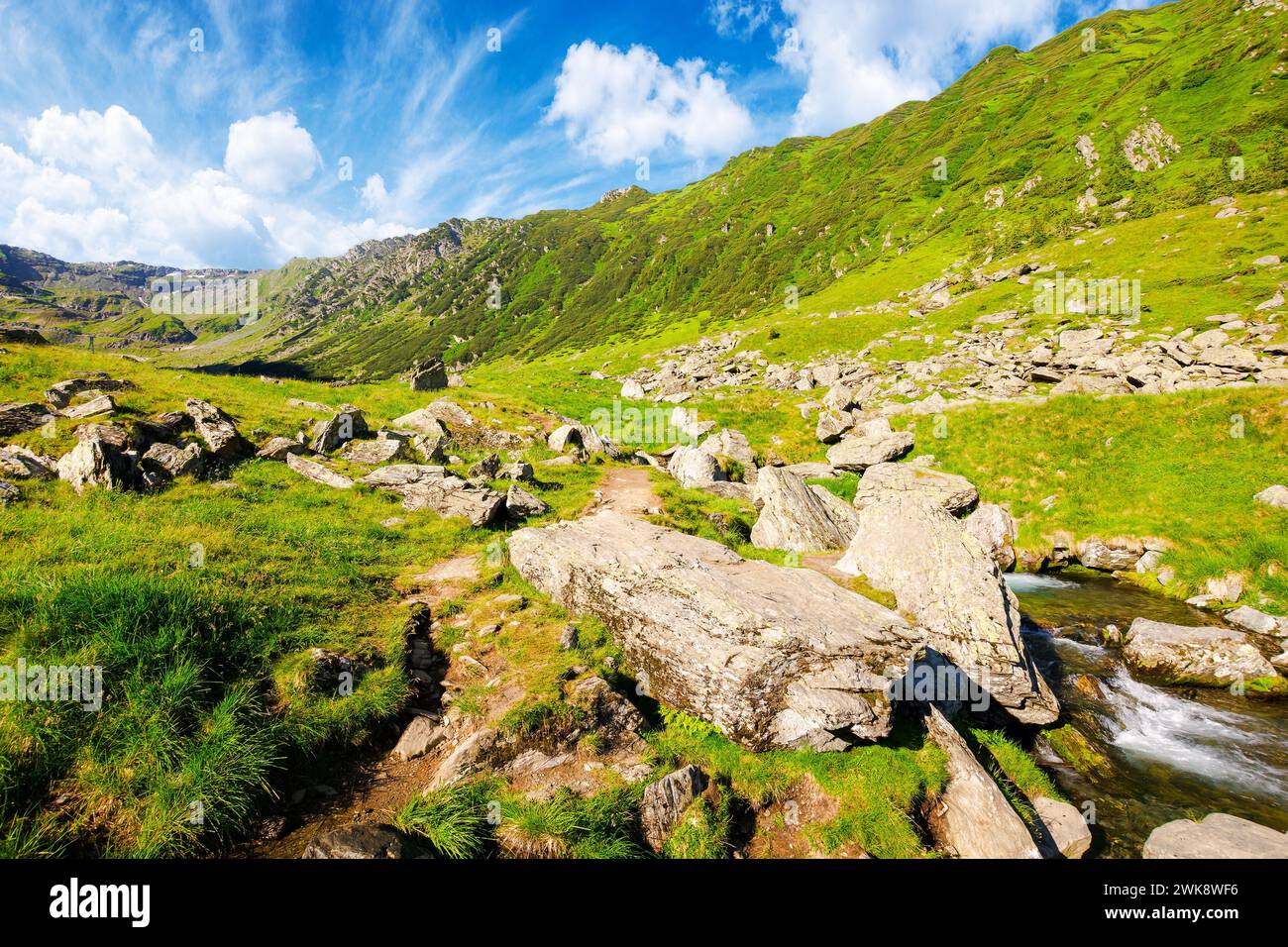 creek flows through the valley of carpathian mountains. shallow water stream among stones. fagaras range of romania. beautiful landscape on a sunny su Stock Photo