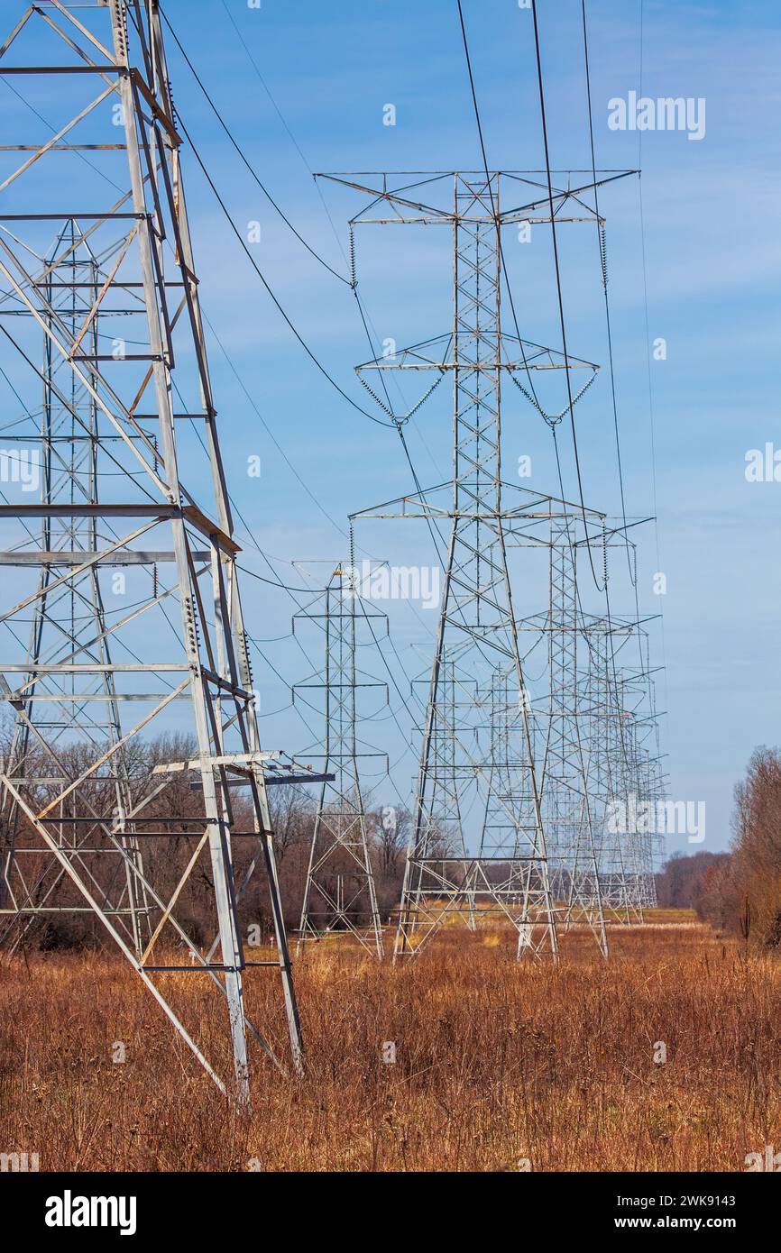 Standing in the underbrush of a forest, high voltage electricity towers deliver electricity into the horizon. Stock Photo