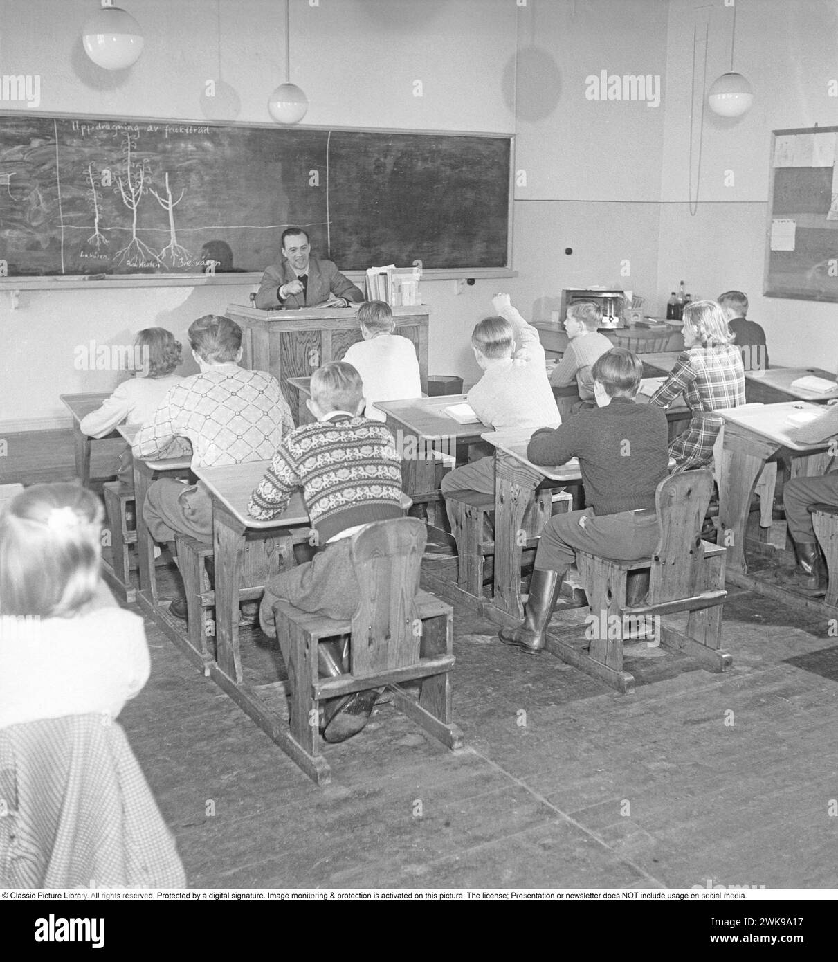 School in the 1950s. The male schoolteacher in the classroom with his students, learning them about growing fruit trees. The teacher has drawn a tree on the blackboard. Sweden 1950 Kristoffersson ref  BB51-1 *** Local Caption *** © Classic Picture Library. All rights reserved. Protected by a digital signature. Image monitoring & protection is activated on this picture. The license; Presentation or newsletter does NOT include usage on social media. Stock Photo