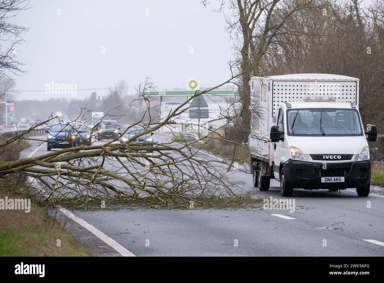 A fallen tree due to the high winds of storm Eunice blocks one