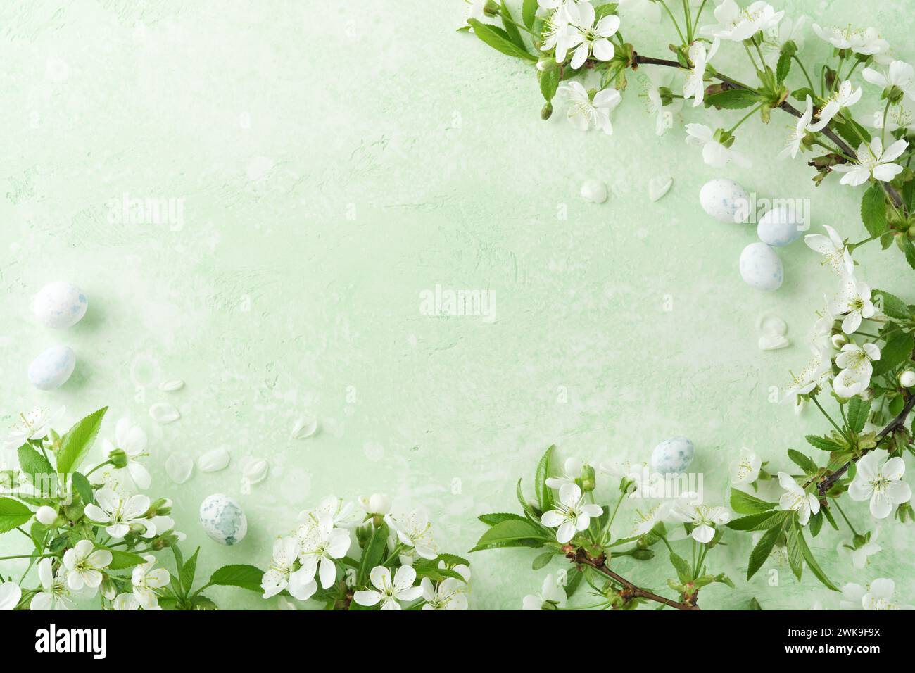 Spring Easter background. Passover blooming white apple or cherry blossom on green background. Happy Passover background. World environment day. Easte Stock Photo