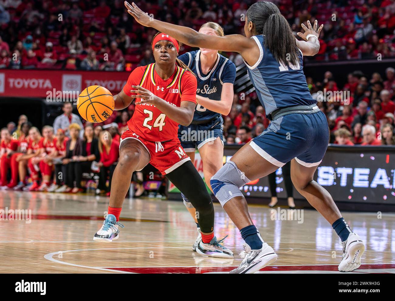 COLLEGE PARK,MD:  - FEBRUARY 18: Maryland Terrapins guard Bri McDaniel (24) during a women's college basketball game between the Maryland Terrapins and the Penn State Nittany Lions at Xfinity Center, in College Park, Maryland on February 18, 2024. Stock Photo