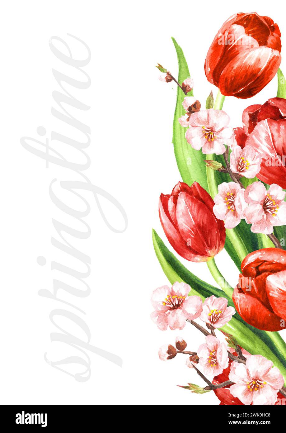 Spring Border Hand Drawing Border of spring flowers and Tulips. Hand drawn watercolor illustration ...